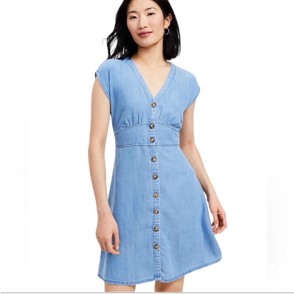 LOFT Chambray Button Flare Dress